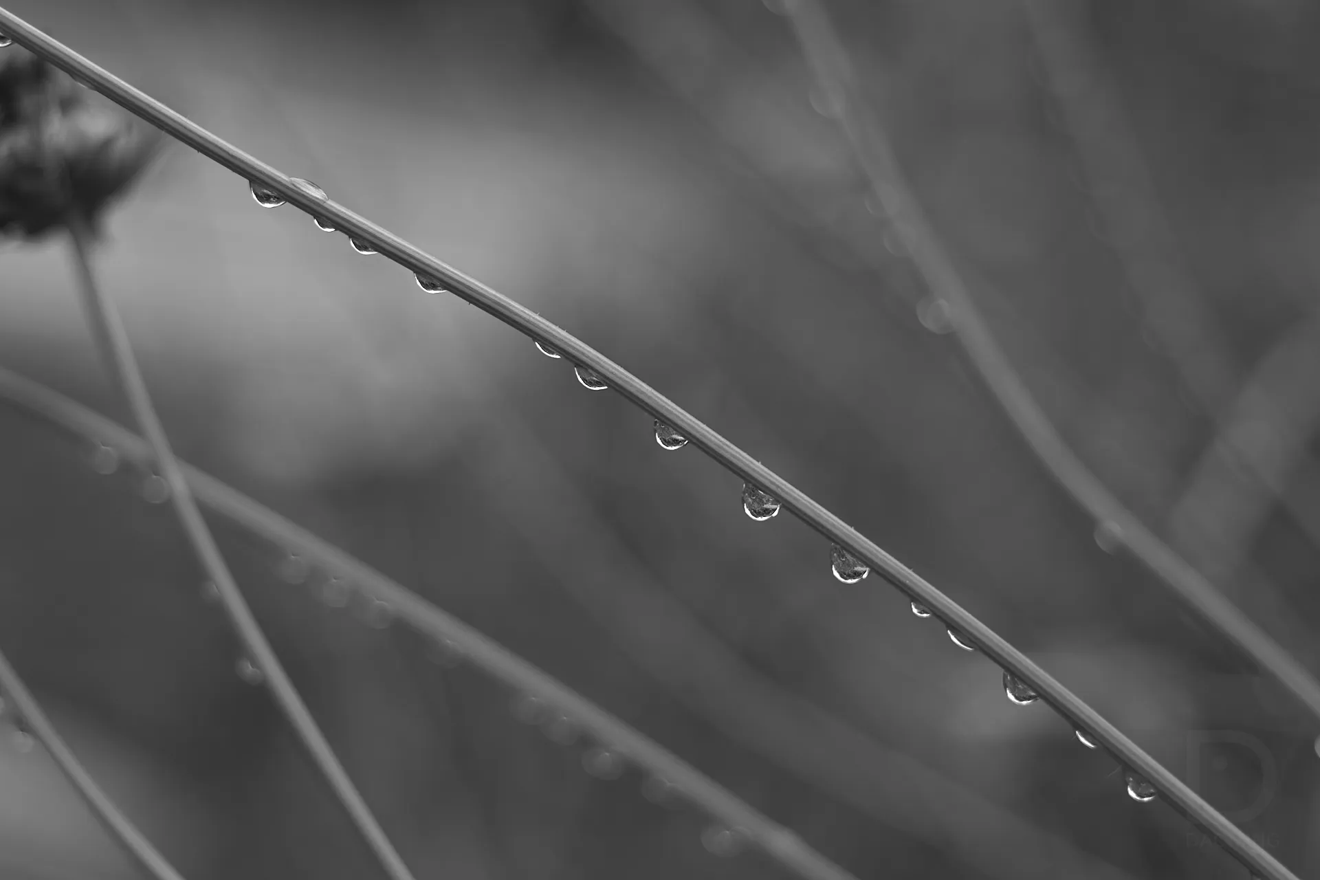 A dramatic landscape background