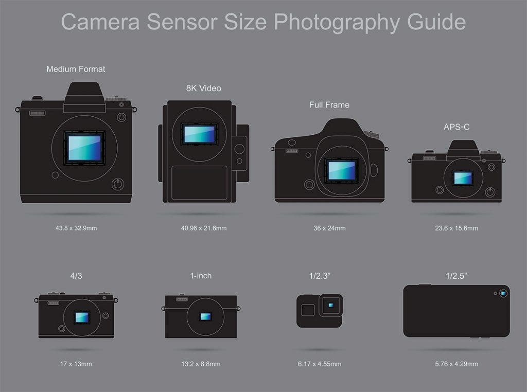 A visual guide illustrating the dimensions of various camera sensor sizes